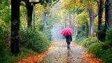 تمرین 15دقیقه ای برای رفع استرس