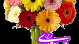 عکس نوشته های متحرک (سری اول)
