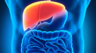 پاکسازی کبد؛ خانگی ،گیاهی و فوری