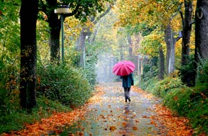 تمرین 15دقیقه ای برای رفع استرس