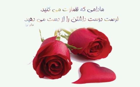 قضاوت کردن های زود هنگام!!