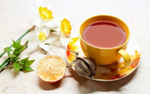دم‌نوش های طب سنتی مخصوص فصل بهار