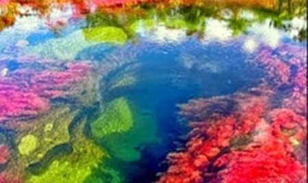 زیباترین رودخانه جهان+صاویر