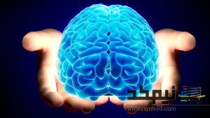 قد آقایان و رابطه آن با مشکلات مغزی