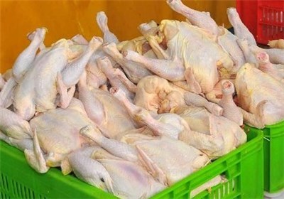 چیزی به نام مرغ ارگانیک نداریم