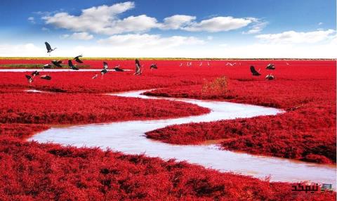 16تصویر زیبا از مکانهای جذاب دنیا