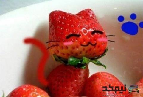 میوه آرایی هنرمندانه با توت فرنگی