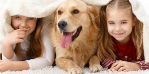 حیوانات خانگی چه بیماری‌هایی را منتقل می‌کنند؟