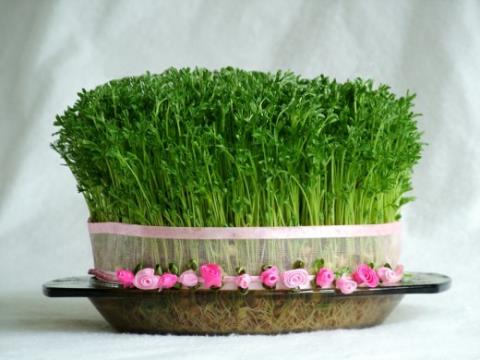 14 ویژگی که باید در سال کهنه جا بگذارید