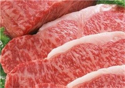 قصابی‌ها با برداشت سود ۷ هزار تومانی به گرانی گوشت دامن می‌زنند