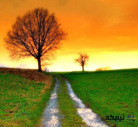 بهانه ی بزرگ برای شادی