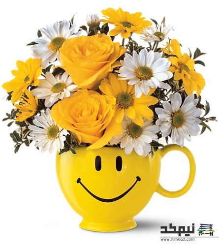 13 نکته برای شادی و سلامت خانواده