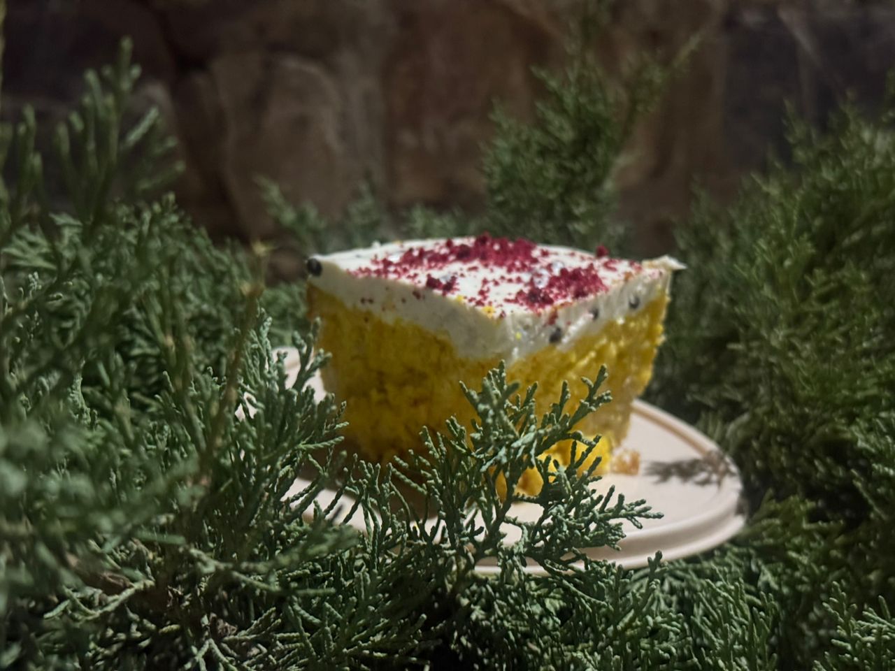 کیک سه شیر زعفرانی با رویه پنیری