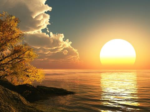 ﻿ 5 ماده غذایی مفید که در تابستان مضر هستند    