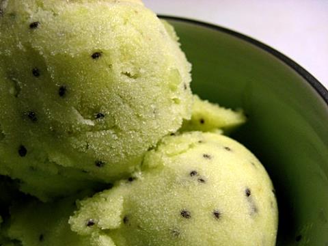 آشنایی با روش تهیه یخمک کیوی