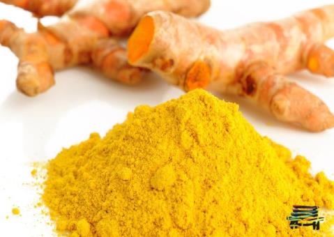 زردچوبه درمانی برای دیابت
